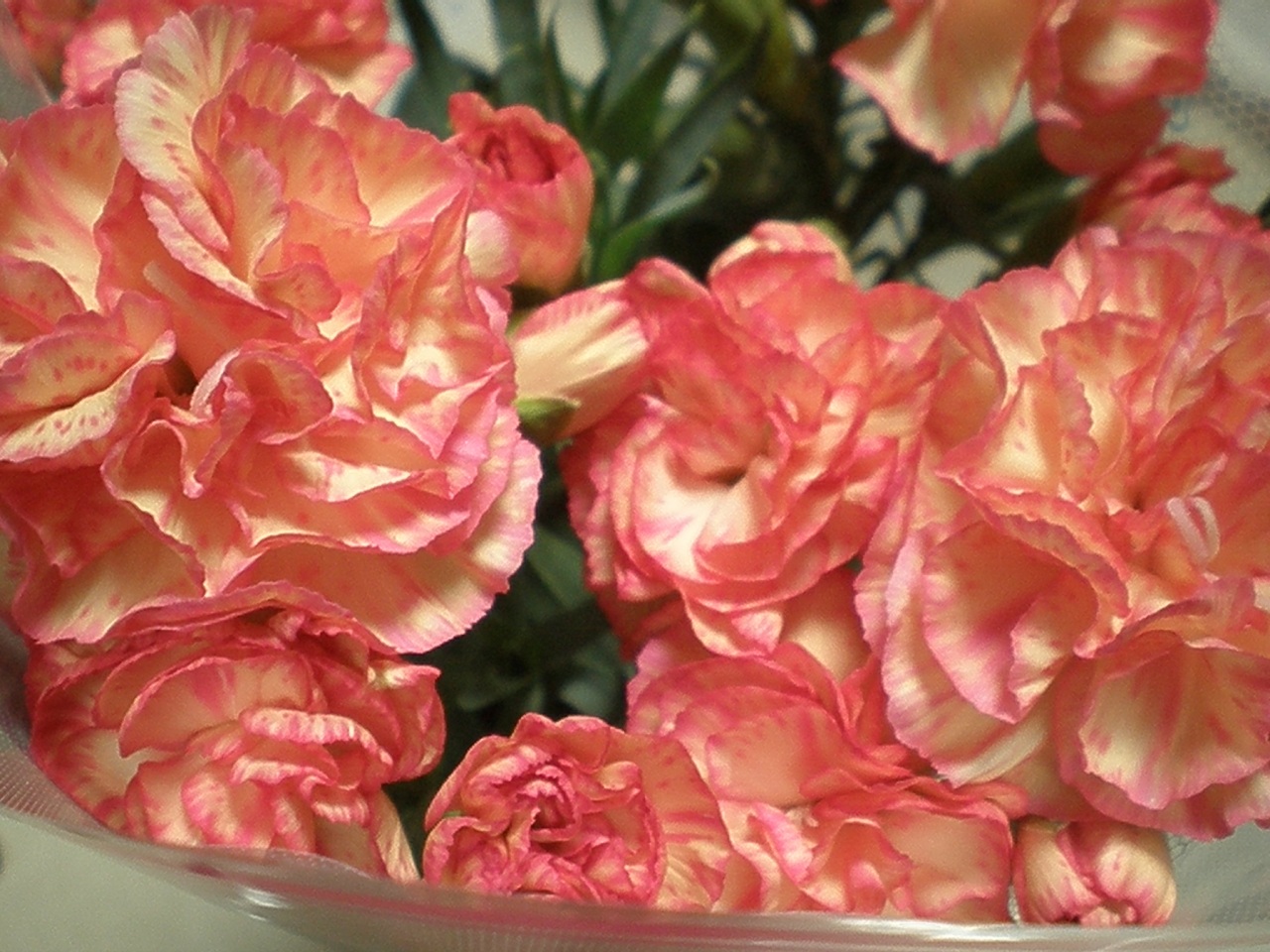 Happy Mother's Day