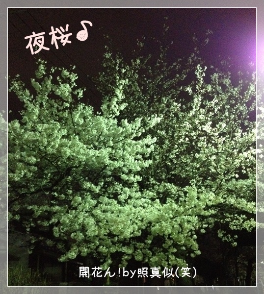 TERU񕗂Ɂi΁j