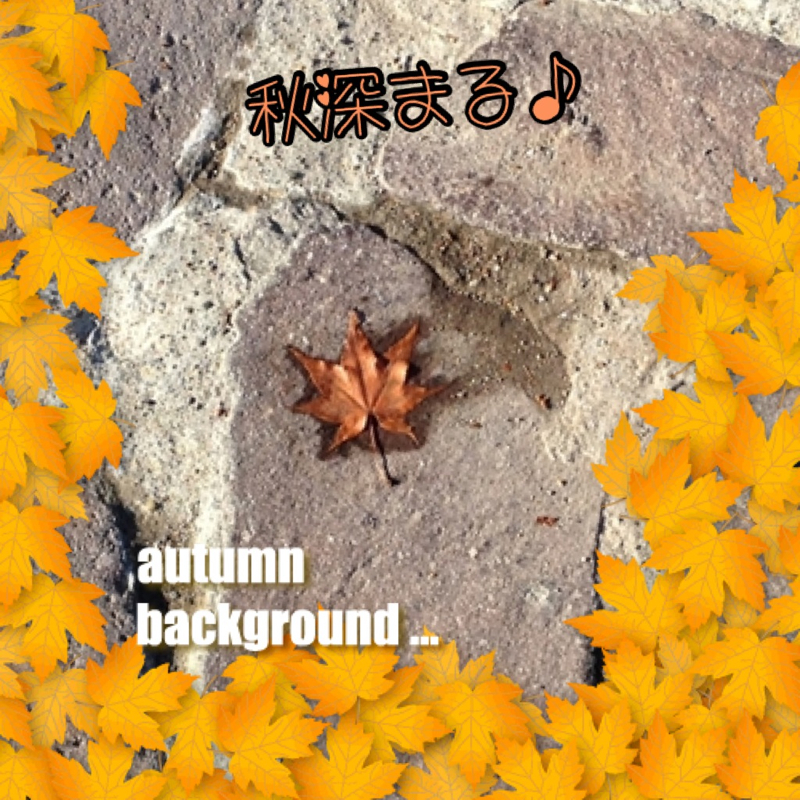 H(*^o^*)